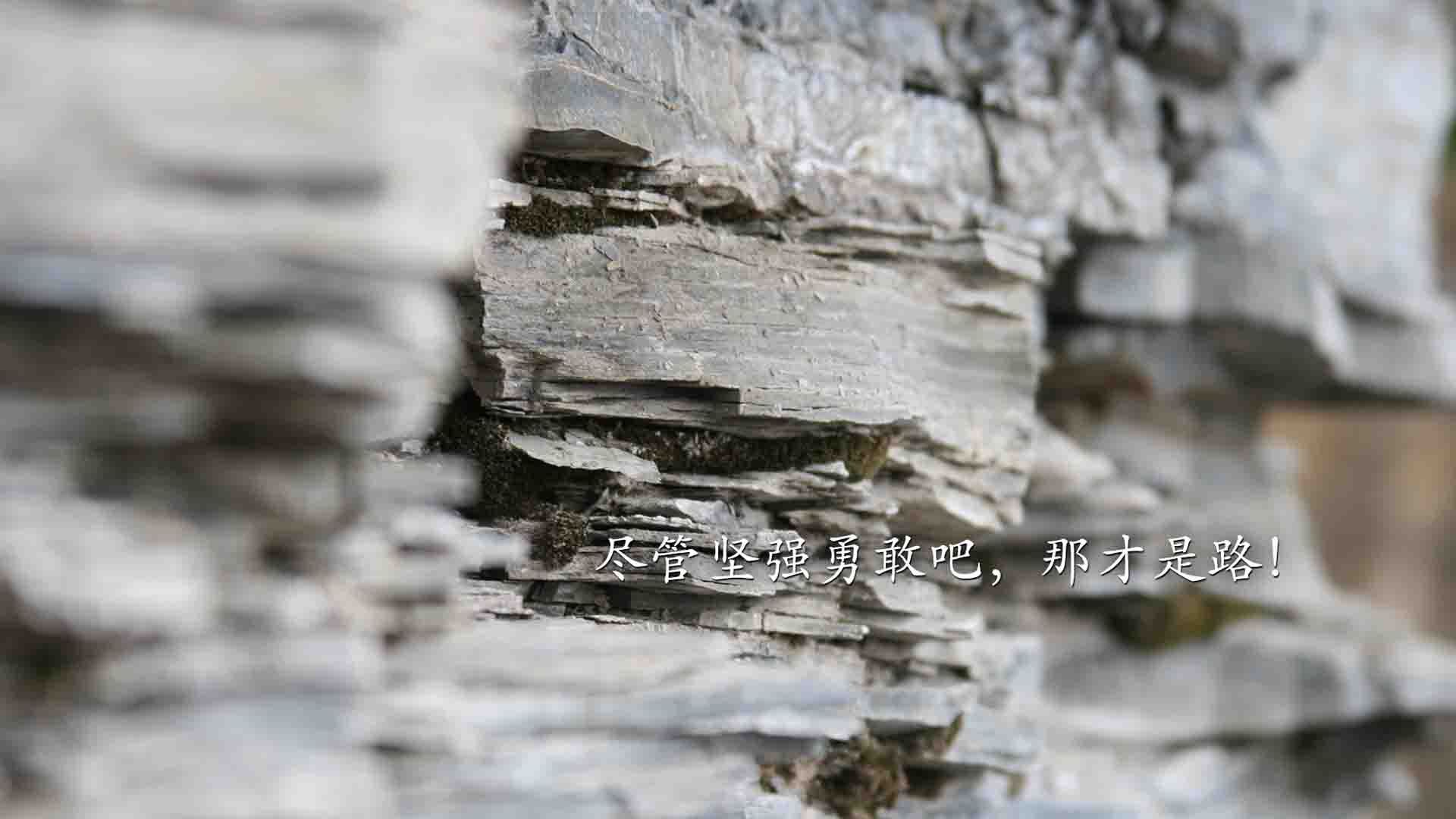 今年联盟助攻榜：你最喜欢谁的“神级助攻”？，联盟一个助攻多少钱