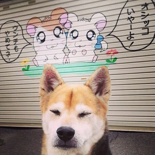 LPL赛事观众应援文化：为自己喜欢的战队加油！，英雄联盟观赛应援礼盒