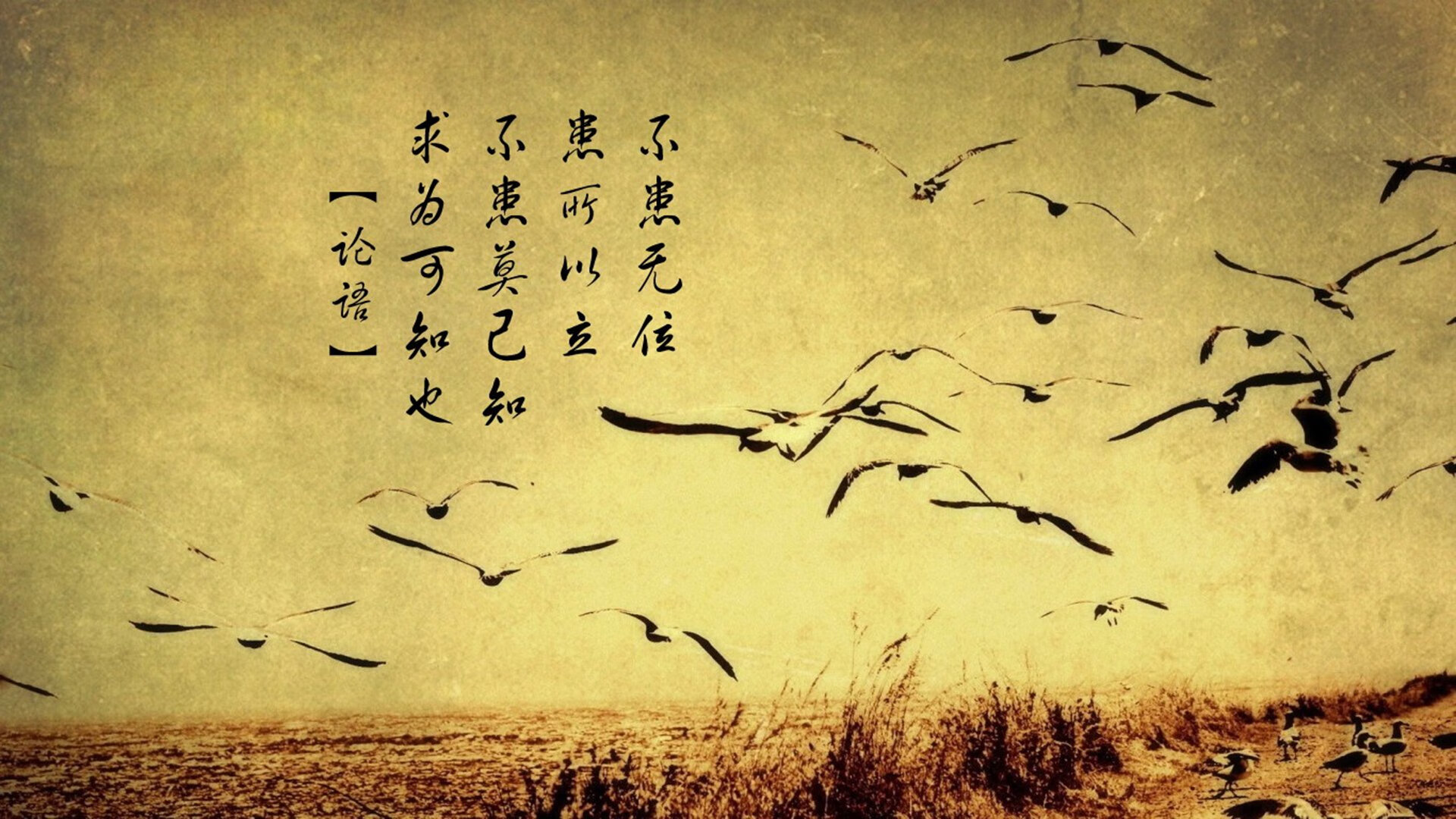 《全球电竞行业投资风向:资本关注的热门赛道》,电竞 投资